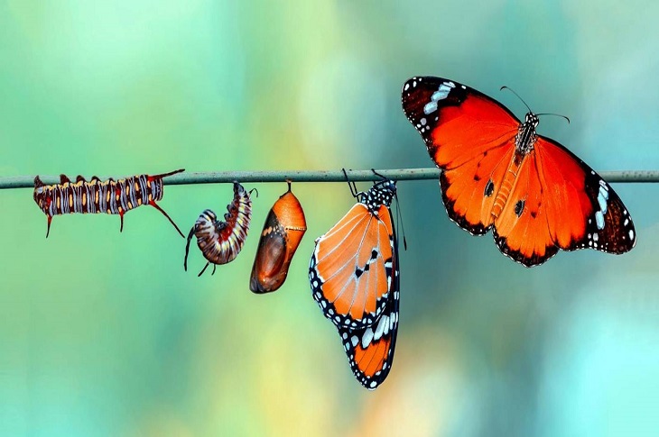 Meaning Purpose And Midlife RingSide Report meaning-purpose-and-midlife-ringside-report