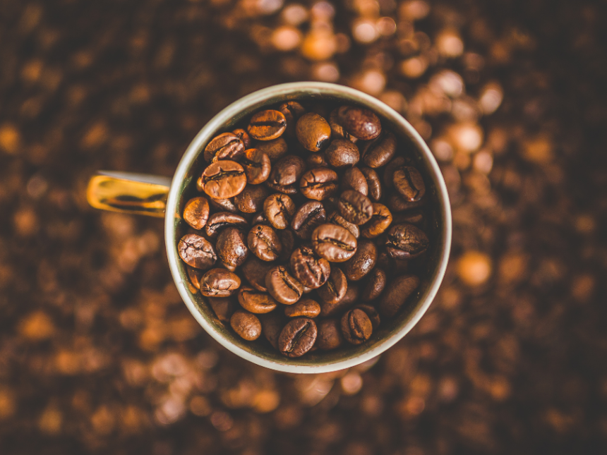 Doctor Curmudgeon® You Beautiful Bean! - Vimarsana News