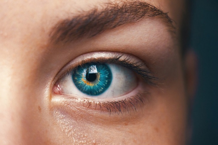 Doctor Curmudgeon® The Eye of the Beholder - Vimarsana News